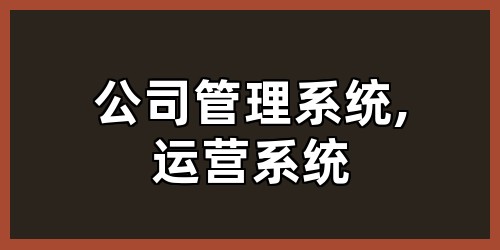 公司管理系统,运营系统