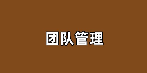 团队管理
