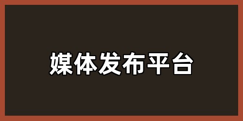媒体发布平台