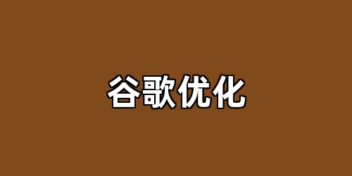 谷歌优化